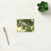 Post-it® Dragonfly on a Twig Post il note (Bureau)