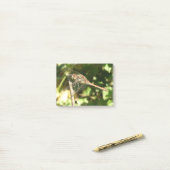 Post-it® Dragonfly on a Twig Post il note (Sur un bureau)