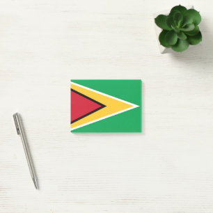 Post-it® Drapeau de la Guyane