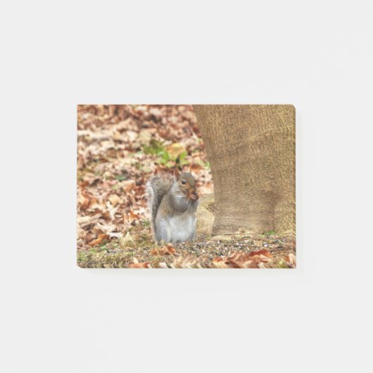 Post-it® Écureuil affamé (Devant)