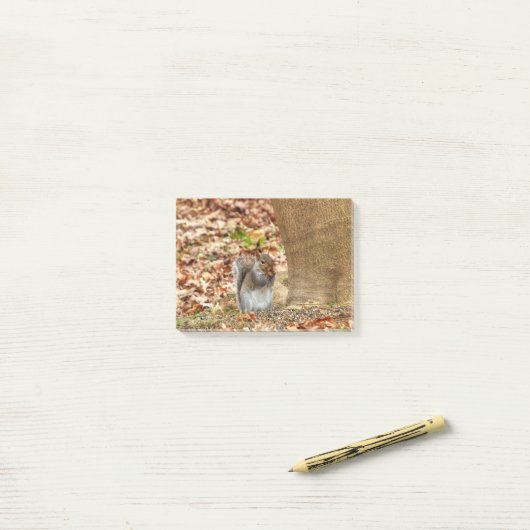 Post-it® Écureuil affamé (Sur un bureau)
