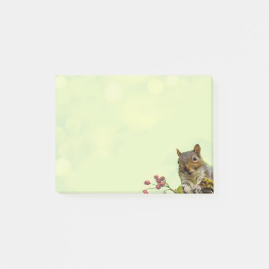 Post-it® Écureuil sauvage mignon sur fond vert citron (Devant)