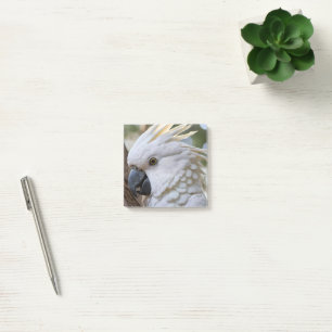 Post-it® Élégance en blanc : le majestueux cacatoès austral