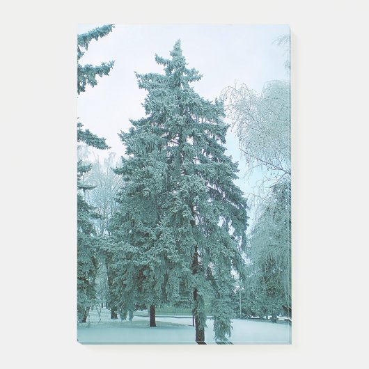 Post-it® Épinette avec glace (Devant)