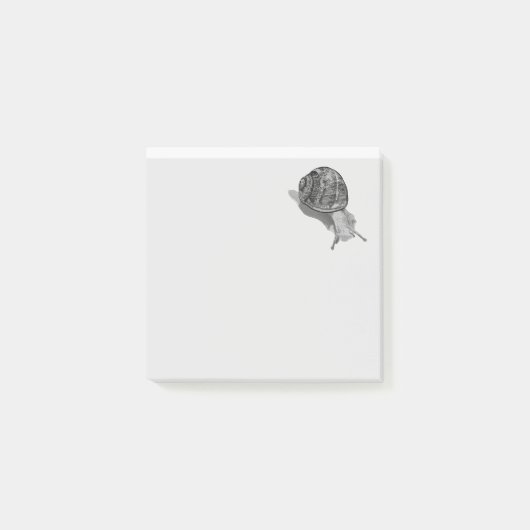 Post-it® Escargot peint (Devant)