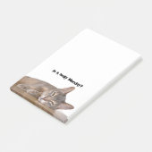 Post-it® Est-Ce Vraiment Lundi ? Mème de chat Abyssinien dr (Incliné)