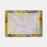 États-Unis, Hawaï, Oahu, fleurs de la plumeria en