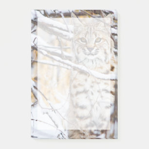 Post-it® États-Unis, Wyoming, Bobcat
