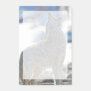 Post-it® États-Unis, Wyoming, Parc national de Yellowstone,