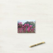 Post-it® Étoiles de tir dynamiques (Sur un bureau)