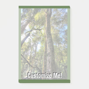 Post-it® Eucalyptus gommiers de la forêt pluviale australie