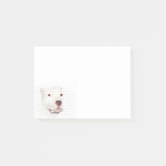 Post-it® Face de terrassement de pitbulles blanches (Devant)
