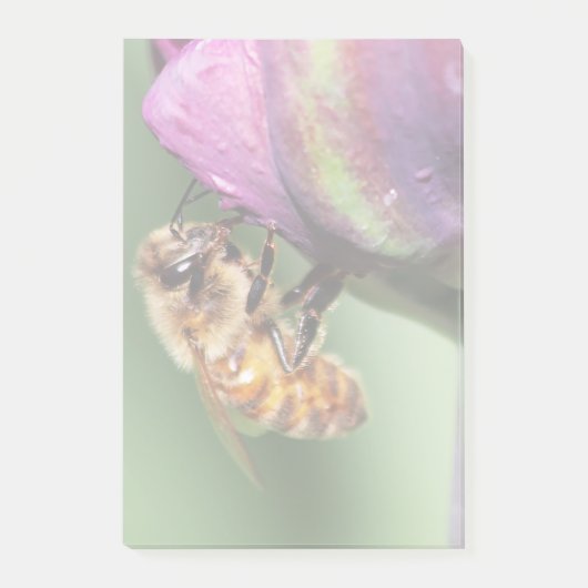 Post-it® Fallen Fuzzy Little Bee (Devant)