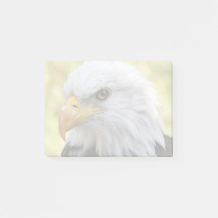 Post-it® Falln Bald Eagle Liberty