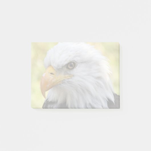Post-it® Falln Bald Eagle Liberty (Devant)