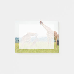 Post-it® Famille de girafe des images   de Getty