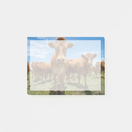 Post-it® Farms | Brown cow (Devant)