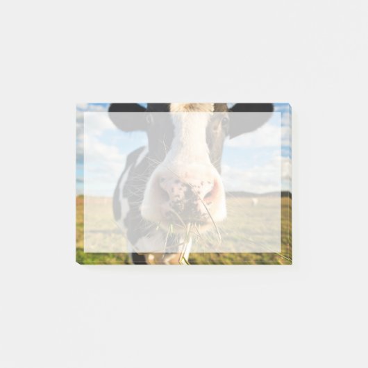 Post-it® Farms | Holstein Cow Chewing (Devant)