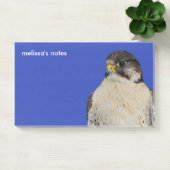 Post-it® Faucon hybride Gyrfalcon Saker (Bureau)