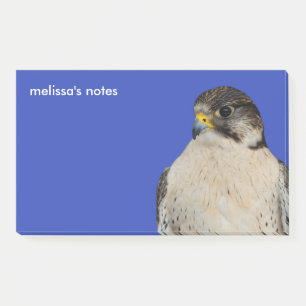 Post-it® Faucon hybride Gyrfalcon Saker