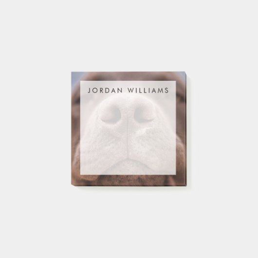 Post-it® Fermeture du nez du Labrador au chocolat (Devant)