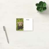 Post-it® Ferret Brown dans l'herbe (Bureau)