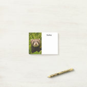 Post-it® Ferret Brown dans l'herbe (Sur un bureau)