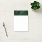 Post-it® Feuillage de la forêt tropicale humide (Bureau)