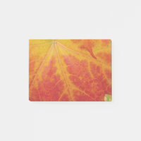 Feuille d'érable rouge Abstraite Automne Photograp