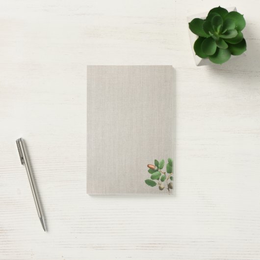 Post-it® Feuilles de chêne Acorn (Bureau)