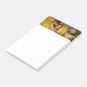 Post-it® Feuilles de Érable Tombées Jaune Automne Nature (Incliné)