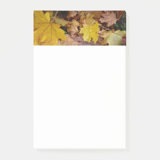 Post-it® Feuilles de Érable Tombées Jaune Automne Nature (Devant)