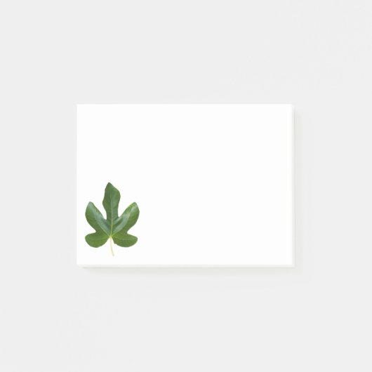 Post-it® Fig arbre Single Green leaf closeuse isolé (Devant)
