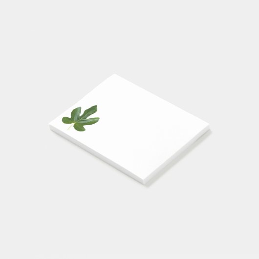 Post-it® Fig arbre Single Green leaf closeuse isolé (Incliné)