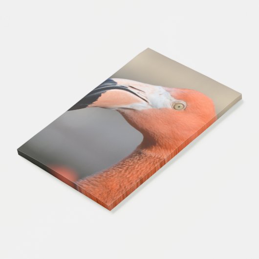 Post-it® Flamant rose des Caraïbes (Incliné)