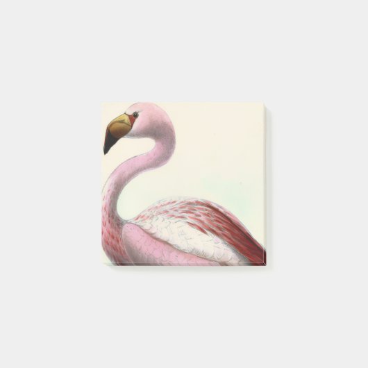 Post-it® Flamant Vintage (Devant)