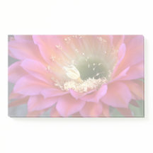 Fleur de cactus rose dans le désert