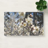 Post-it® Fleur de cerisier blanc / Sakura / ク(桜) (Bureau)