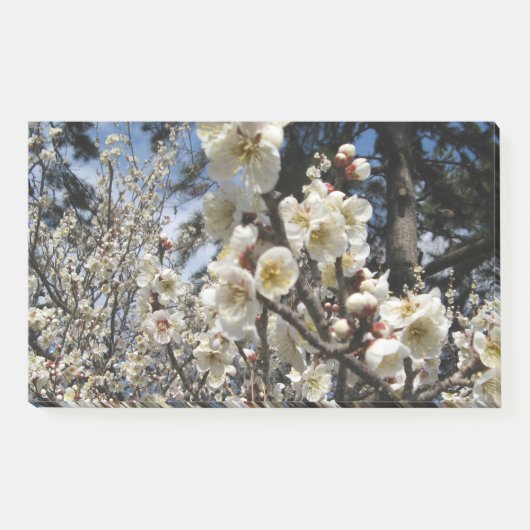 Post-it® Fleur de cerisier blanc / Sakura / ク(桜) (Devant)