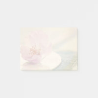 Fleur de cerisier rose tendre