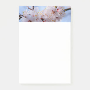 Post-it® Fleur de prunier japonais