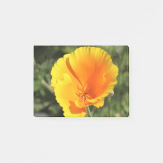 Post-it® Fleur du pavot de Californie