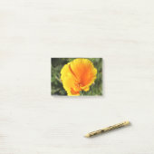 Post-it® Fleur du pavot de Californie (Sur un bureau)