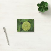 Post-it® Fleur verte de floraison de Zinnia (Bureau)
