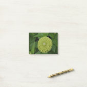 Post-it® Fleur verte de floraison de Zinnia (Sur un bureau)