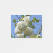 Post-it® Fleurs blanches de l'arbre rose de guelder (Devant)