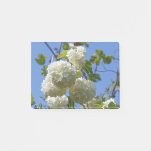 Post-it® Fleurs blanches de l'arbre rose de guelder