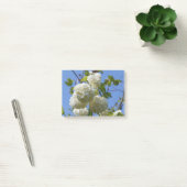 Post-it® Fleurs blanches de l'arbre rose de guelder (Bureau)