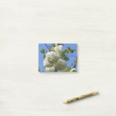 Post-it® Fleurs blanches de l'arbre rose de guelder (Sur un bureau)