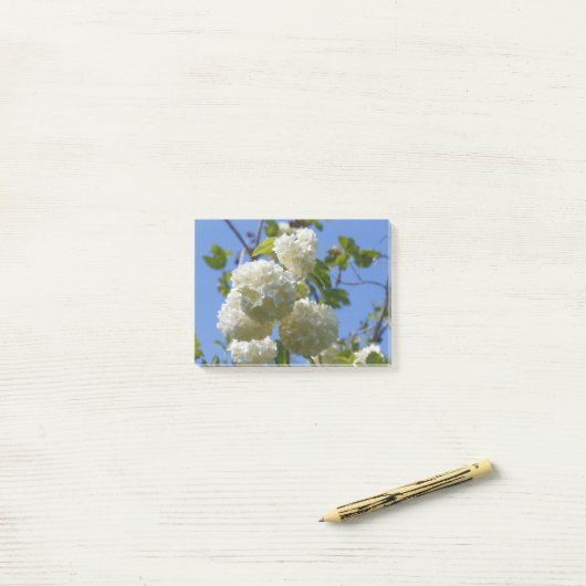 Post-it® Fleurs blanches de l'arbre rose de guelder (Sur un bureau)